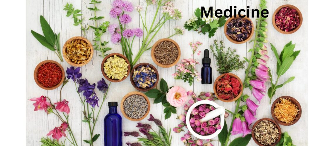 Herbs and essential oils used in natural medicine for holistic healing."